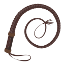 Crack the Whip Press Kit icon
