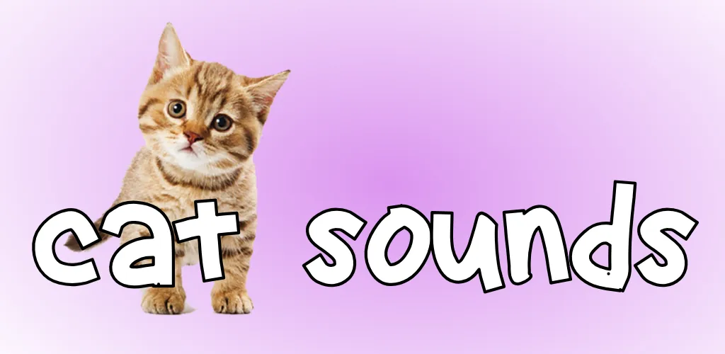 Cat Sounds media