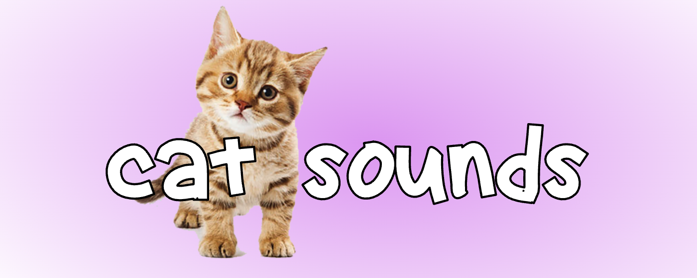 Cat Sounds::Appstore for Android