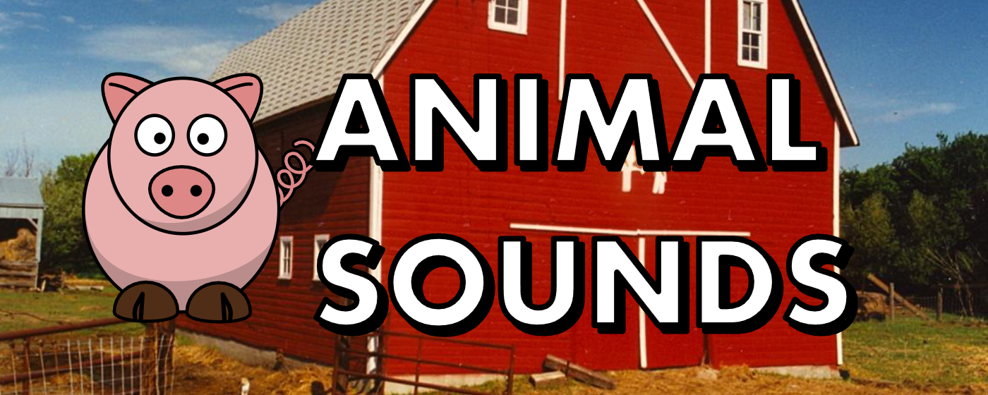 Animal Sounds