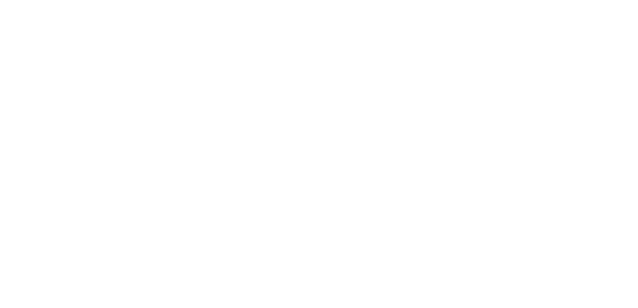Age Scanner 2