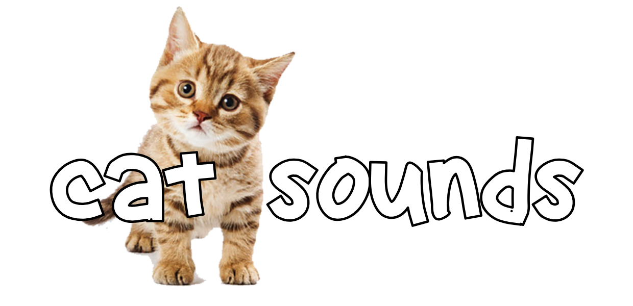 Cat Sounds