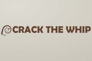 Crack the Whip media